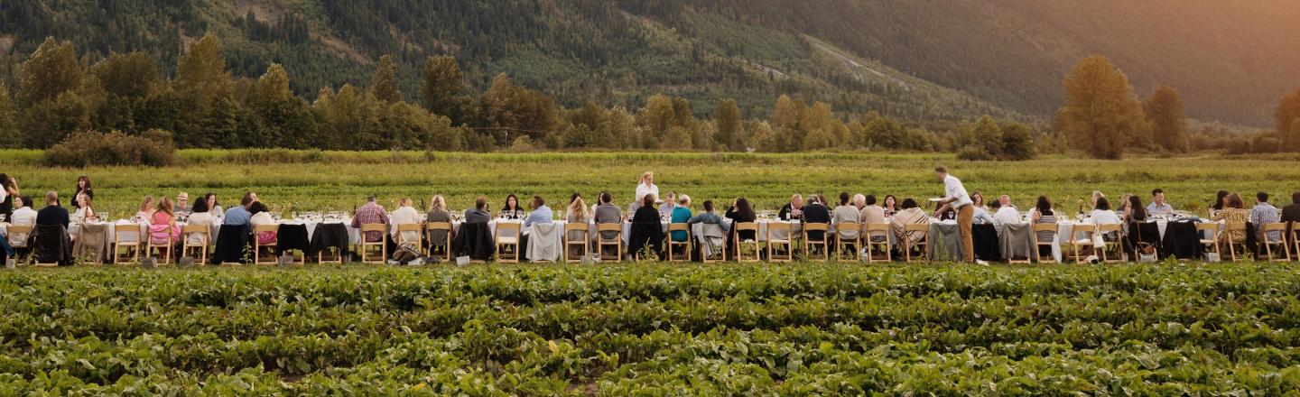 A long table of people eating in a field below a mountain