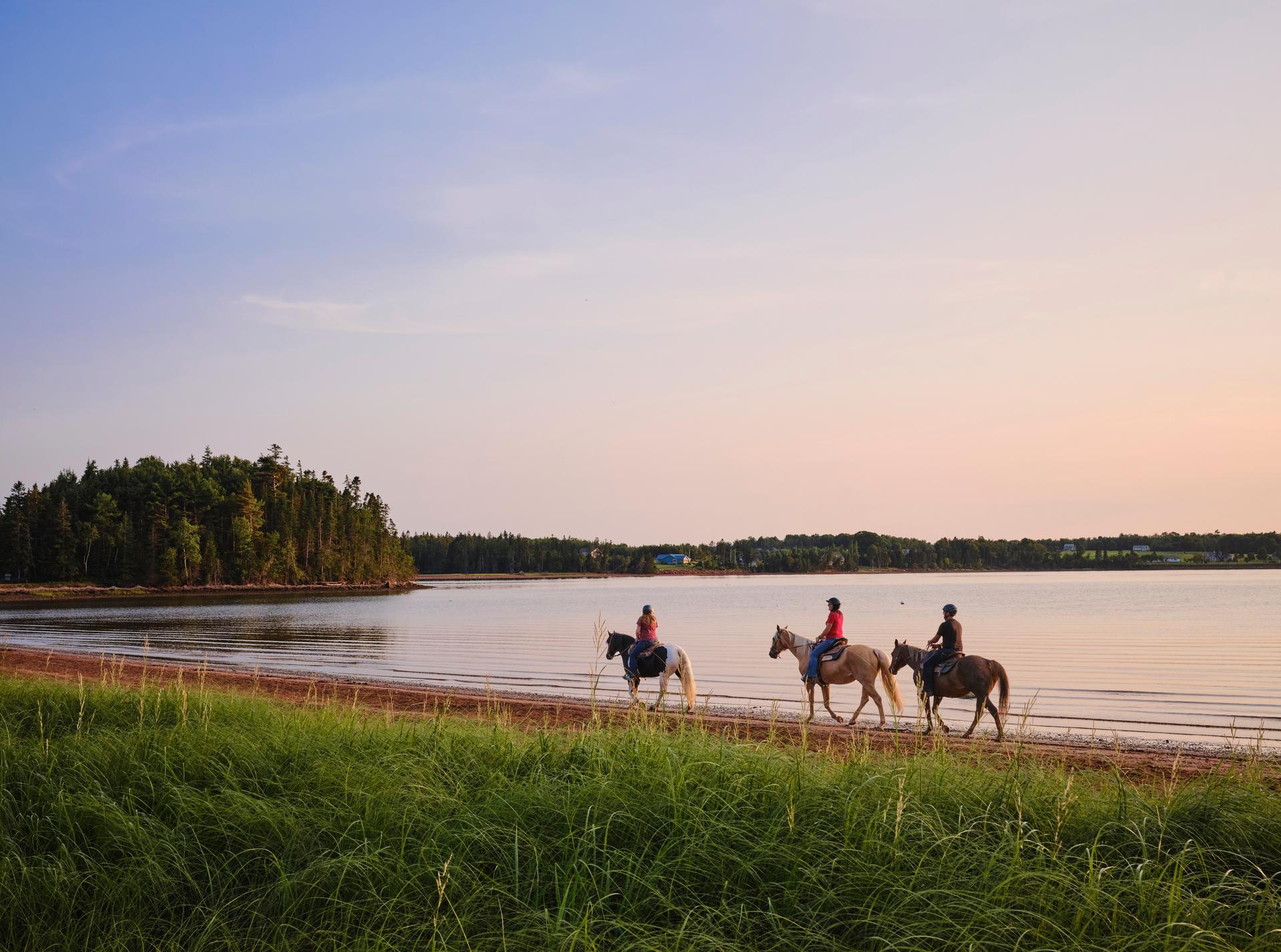 Three people riding on horses at sunset next to a beach.