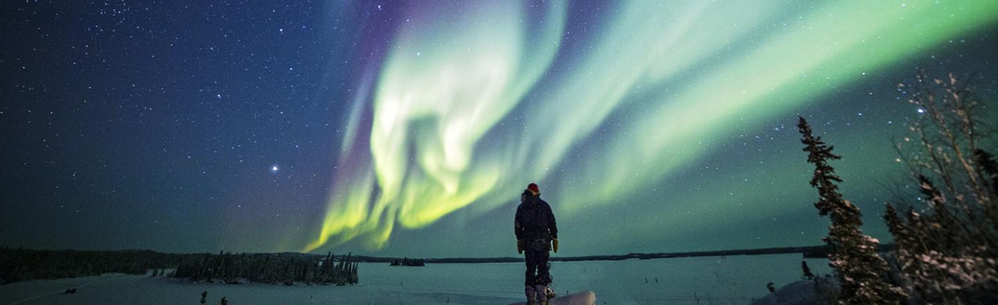 A man standing at night underneath a green and white aurora borealis in a snowy pasture adjacent to a forrest