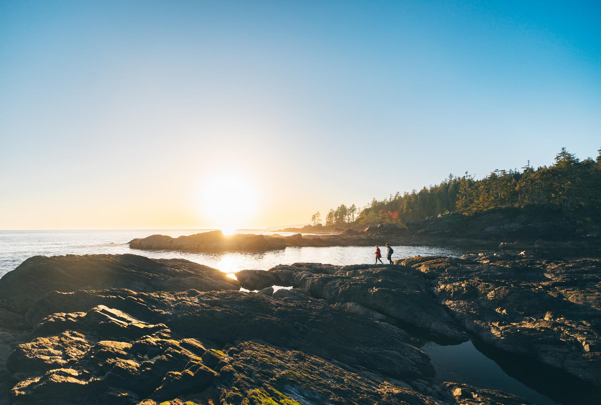 Rocky coastal tide pools at sunset, with forested shoreline and ocean in the background