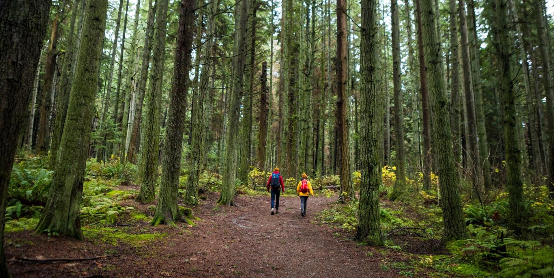 two people walking along a trail in Capilano River Regional Park