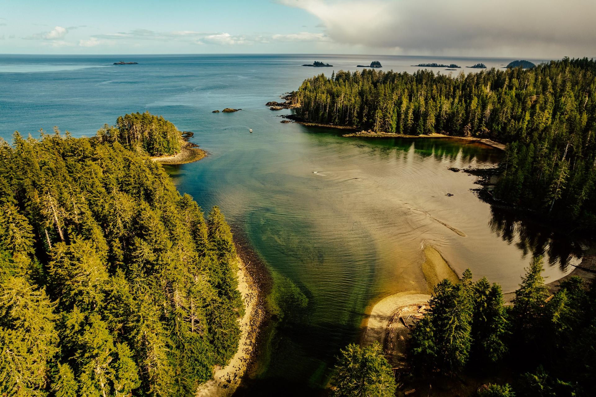 Aerial photo of a forest in Haida Gwaii