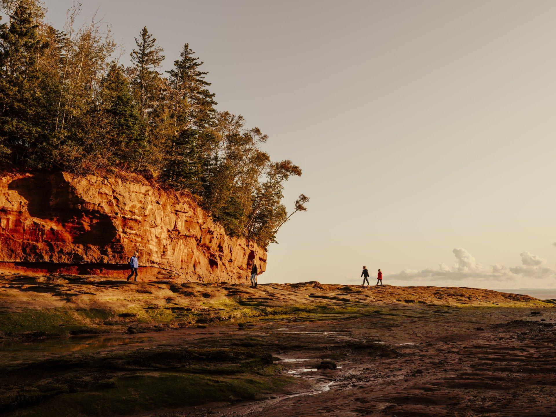 Photo of four people walking in Burntcoat Head Park, Nova Scotia