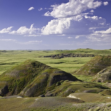 Deux promenades en voiture pour découvrir la diversité du parc national des Prairies