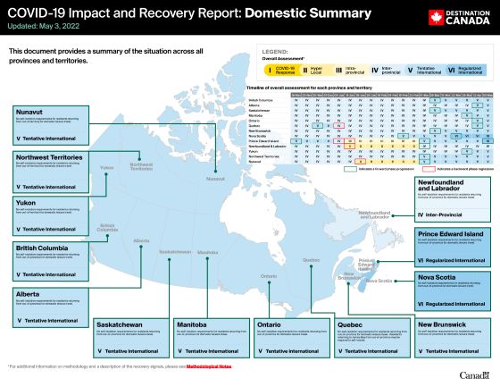 COVID-19 Impact and Recovery Report: Domestic Summary