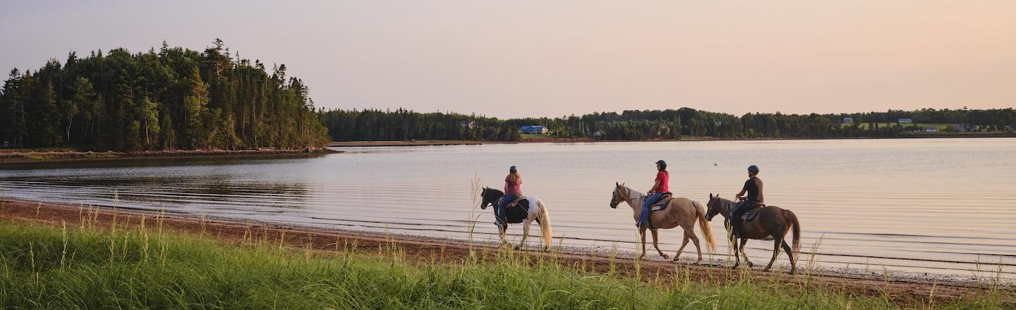 Three people riding horses along the beach at sunset