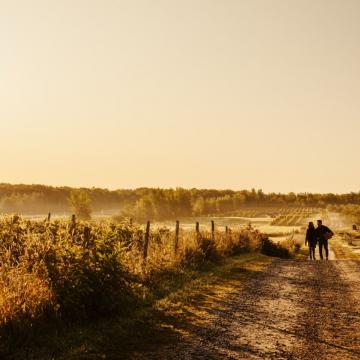 two people walking in a field at golden hour